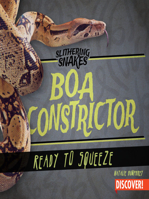 Cover image for Boa Constrictor